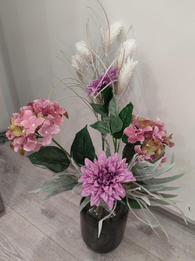 Flowers Apartment Dobrich Bagian luar foto